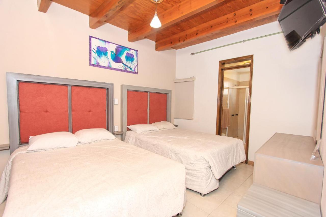 Casa Autora 40